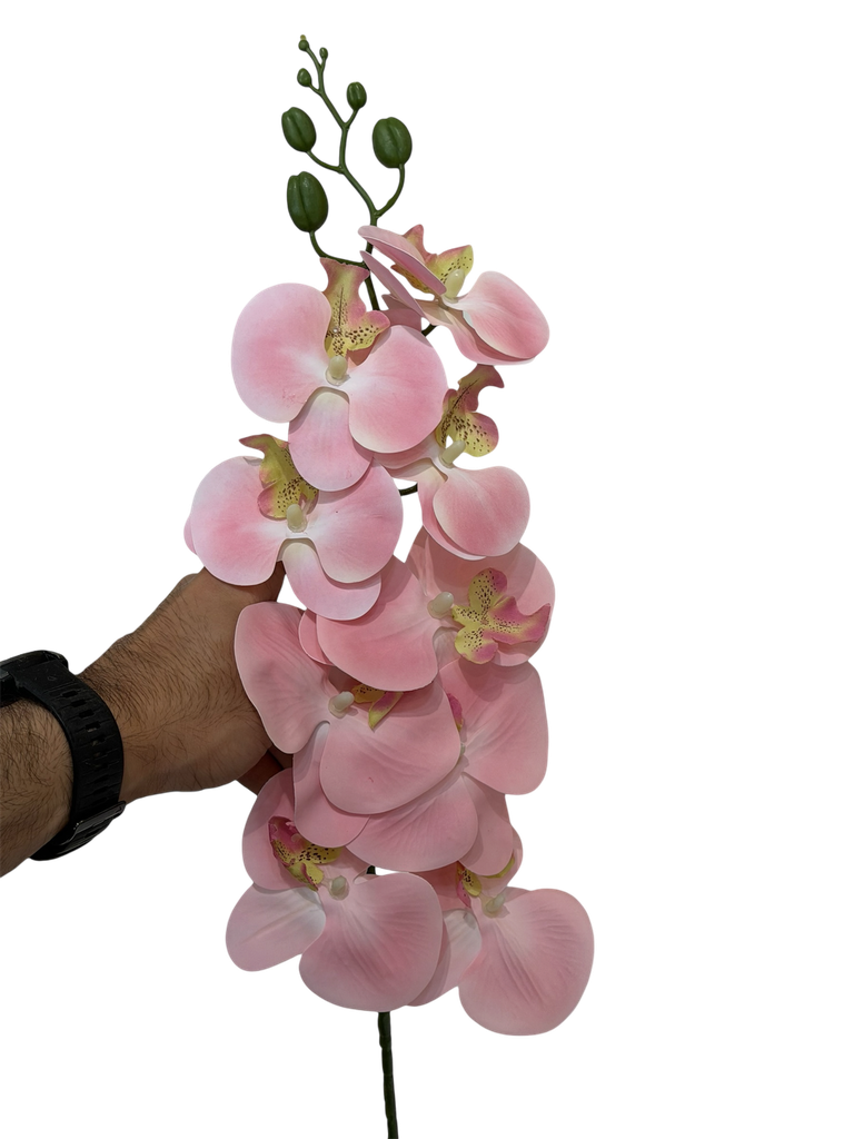 ئۆرکیدی پەمەیی