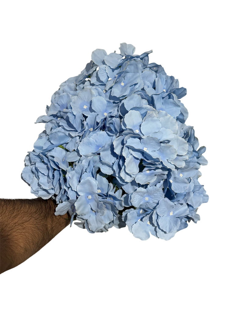 Blue Hydrangea