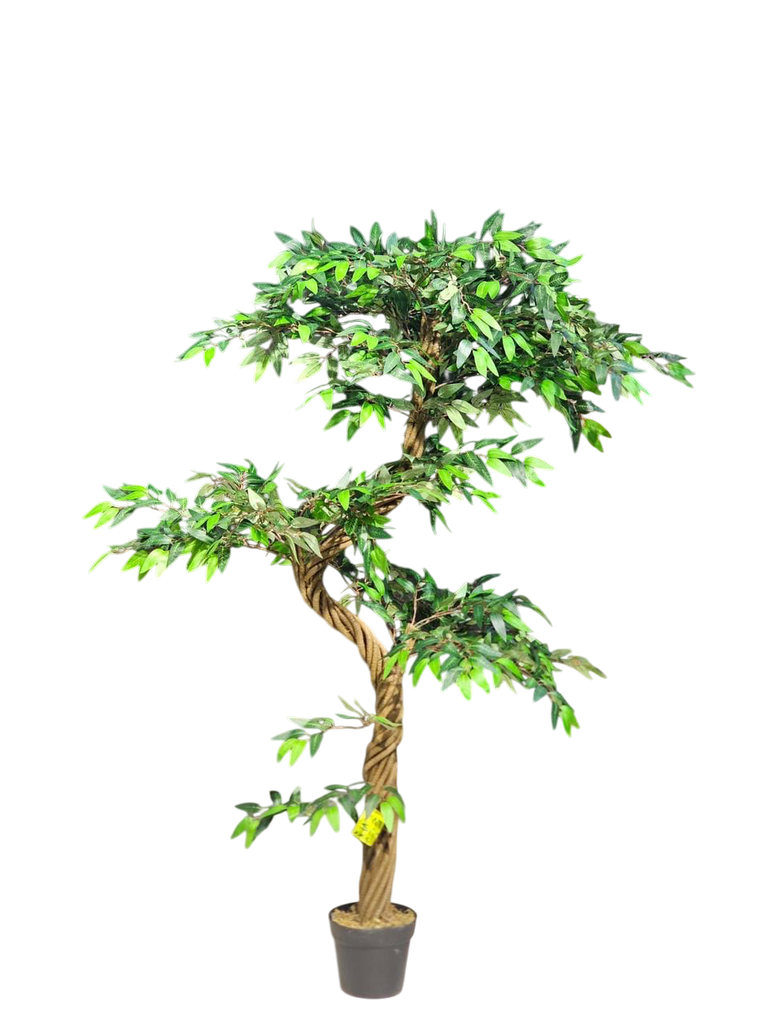 داری لار