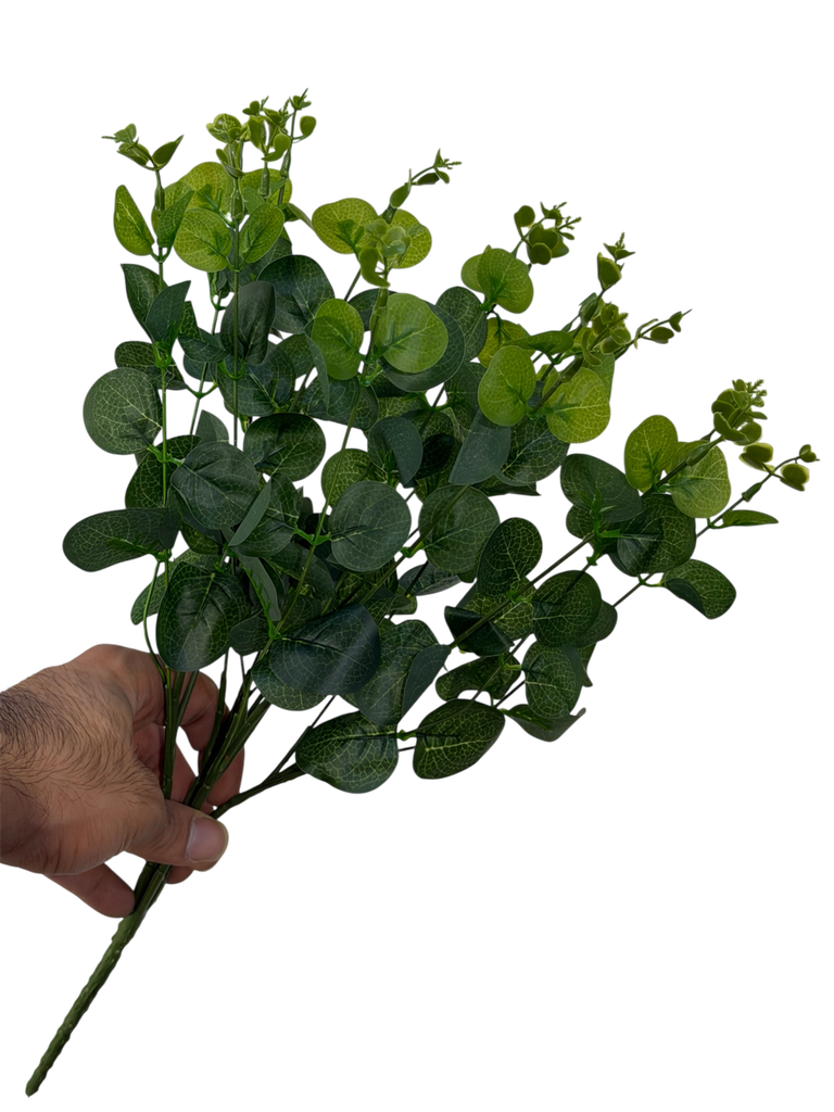 Simple Eucalyptos