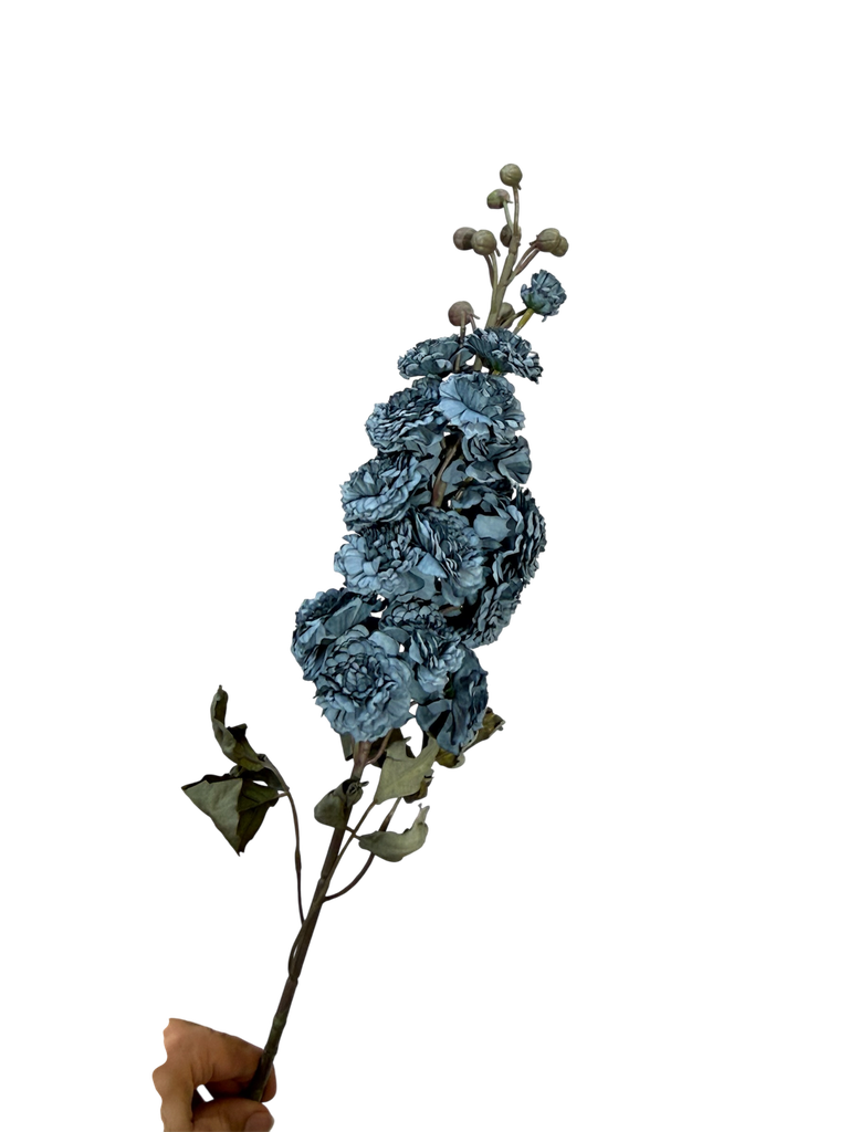 carbon blue Wisteria Flower