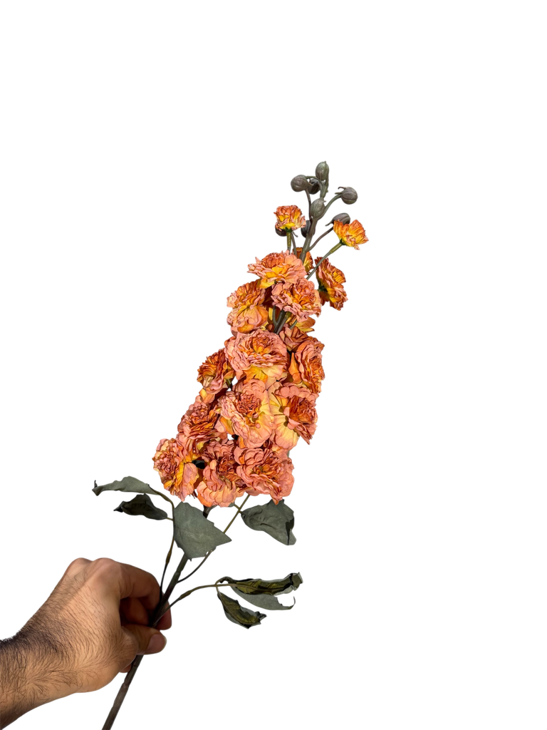 orange Wisteria Flower