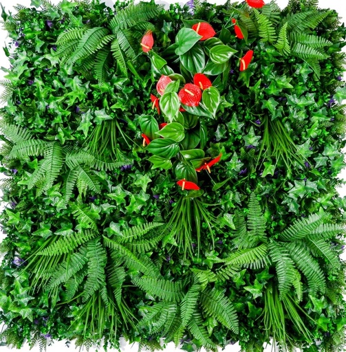 فریزی خارجی