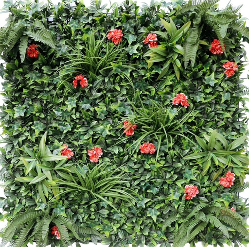 خضار خارجی 100*100
