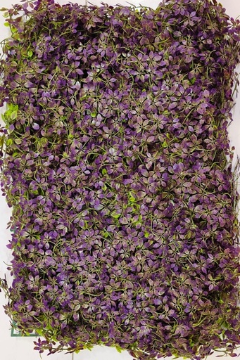 خضار 40*60
