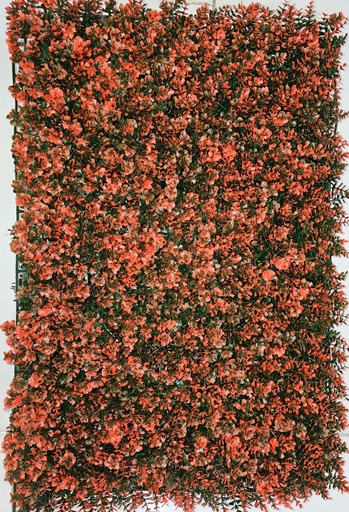 خضار 40*60