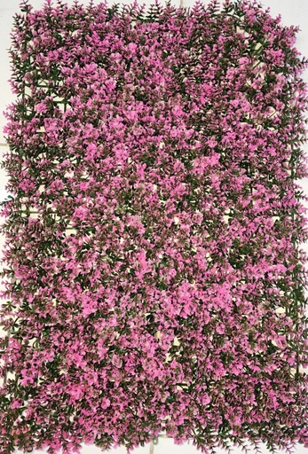 FRIZ 40X60