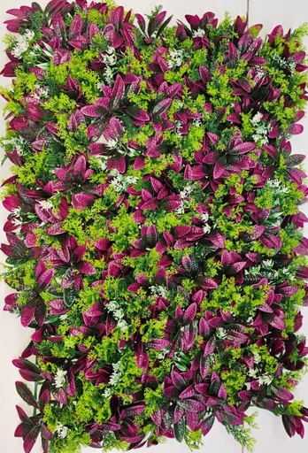 FRIZ 40X60