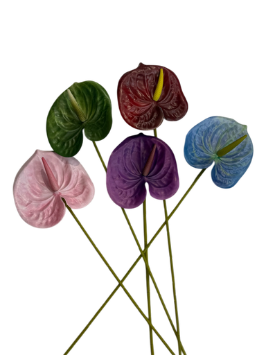 الأنثوريوم