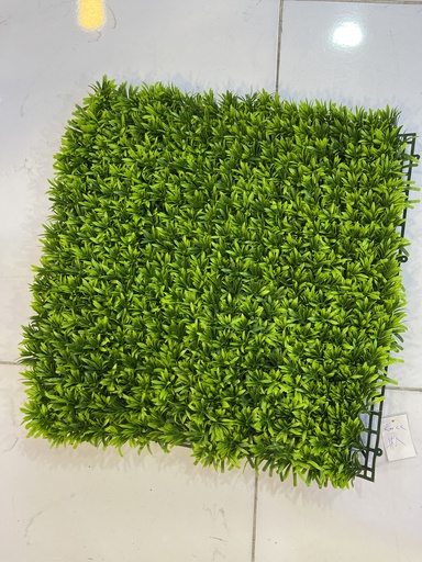 FRIZ 50X50