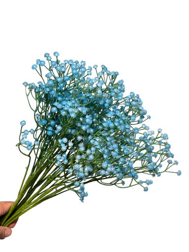 Blue Gypsophila