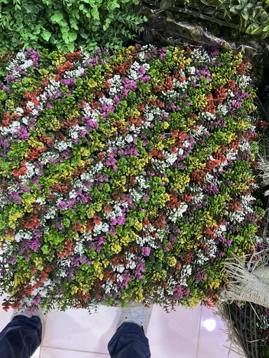خضار 50*50