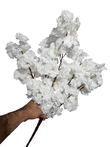 کلکی ڕێوی سپی