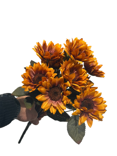 orange sunflower