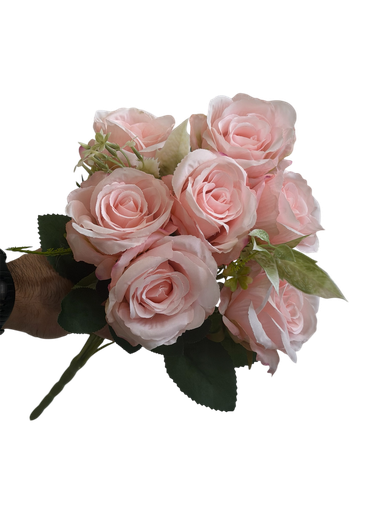 چەپکی رۆزی  پەمبە