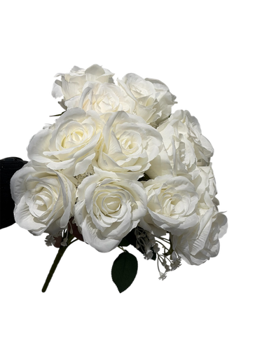 cream rose