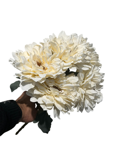 چەپکی جەربێرە ئۆفوایت