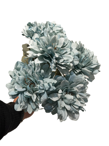 blue  gerbera flower