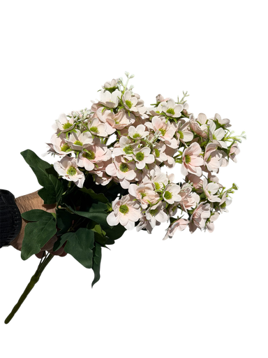 چەپکی بەیبون  پەمبە