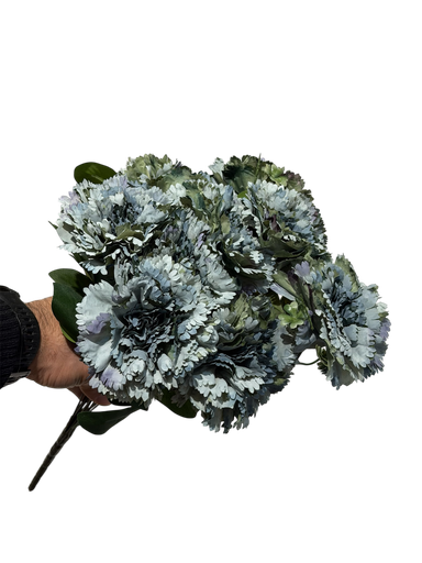 زهرة القرنفل الفیروزی