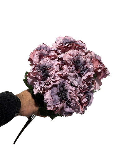 purple carnation flower