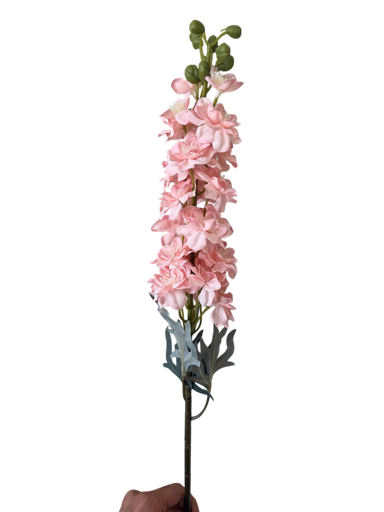 وێستریا پەمبە