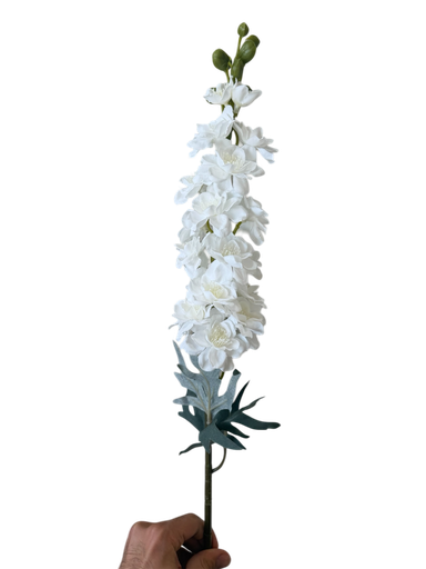 وێستریا سپی