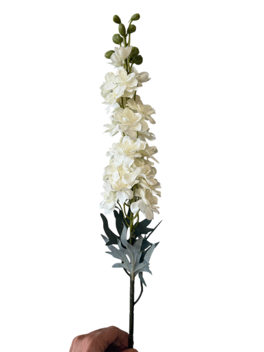 وێستریا ئۆفوایت