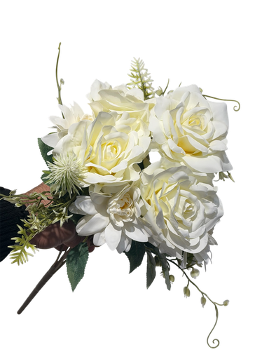 چەپکی ڕۆز سپی