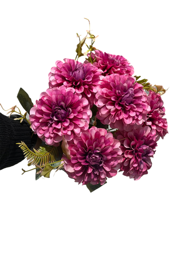 mix carnation flower