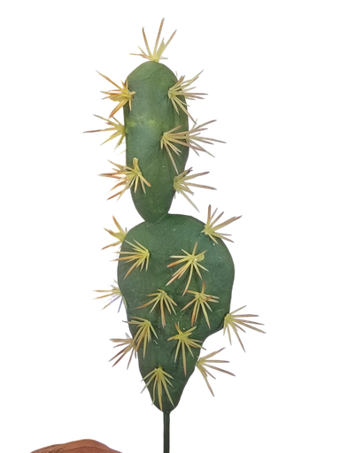 SABBAR