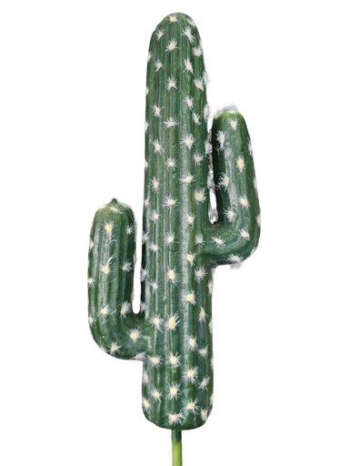 SABBAR