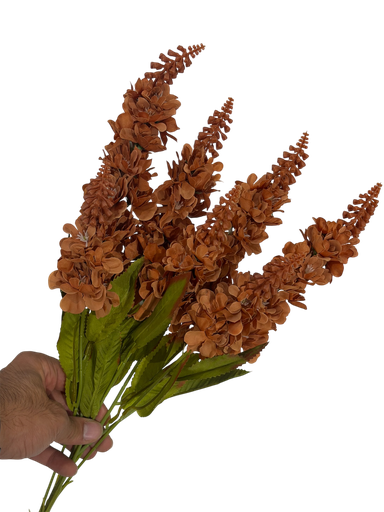 الوردة البنية الداكنة
