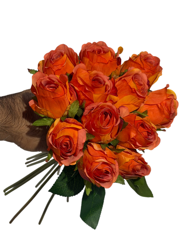 orange rose
