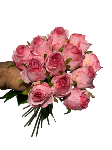pink rose