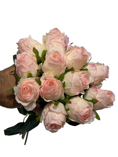 pale pink rose