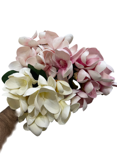Magnolia flower