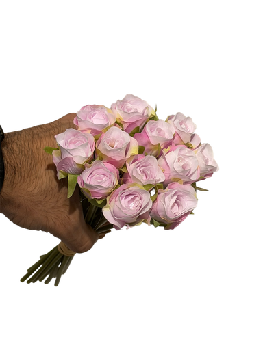 pale pink baby rose