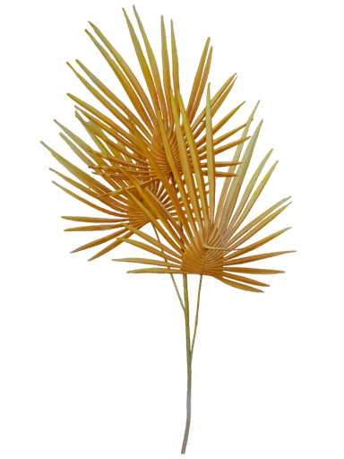 ورد