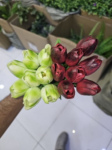 TULIP