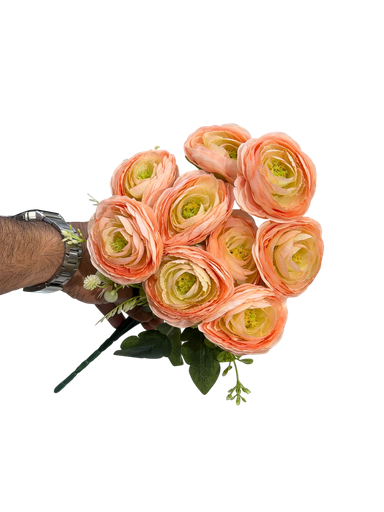 Ranunculus flower pink