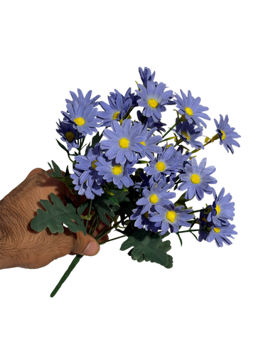 purple daisy
