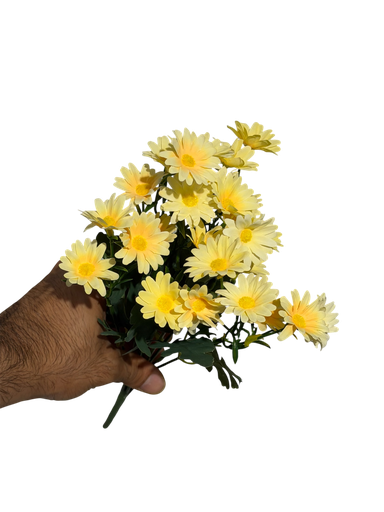 بەیبونی زەرد