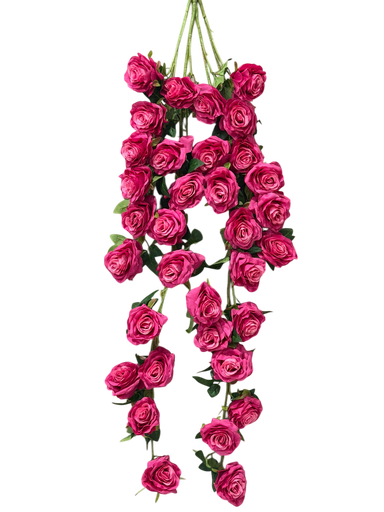 گوڵی هەناری درێژ