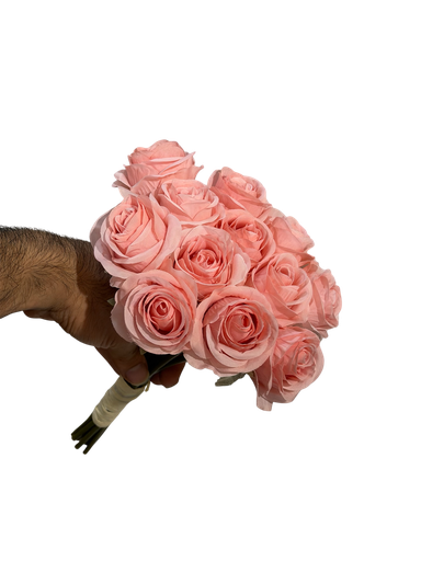 Pink Rose