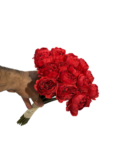 گوڵی سوور