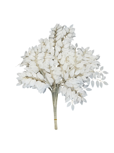 White Tree Leaves