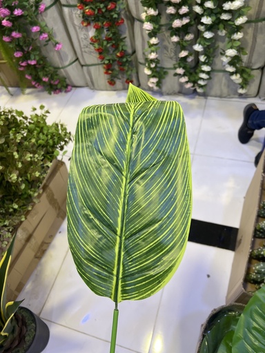تاکی کەسک