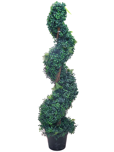 دار