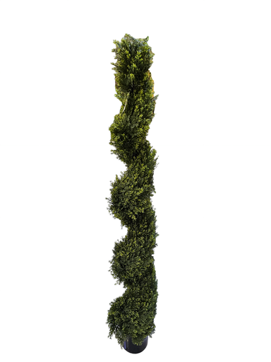 دار
